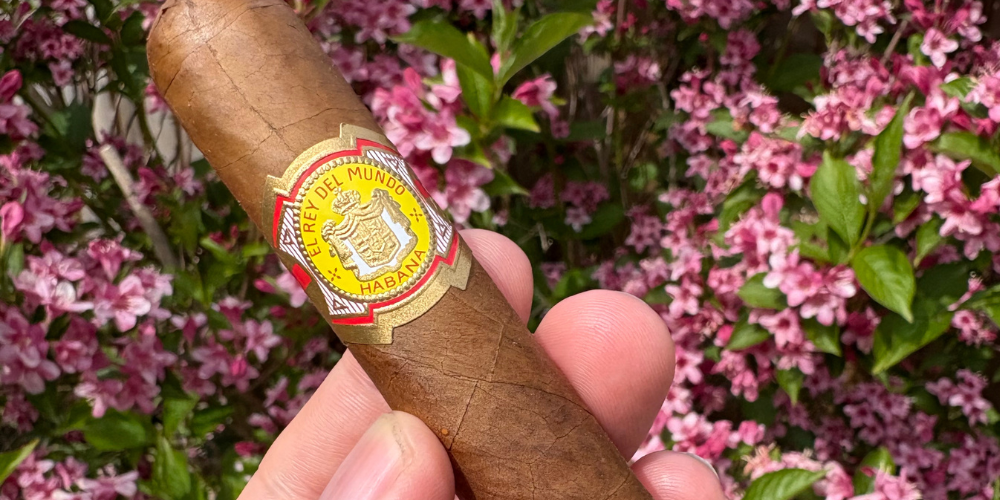 El Rey Del Mundo – translating to “King of the World” – Choix Supreme Cigar in my garden