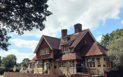 The Olive Tree – Sutton Green
