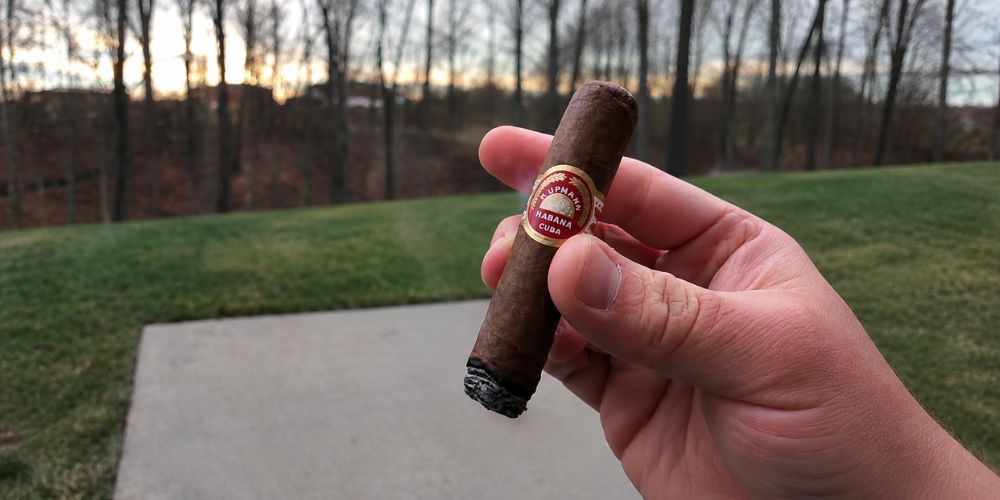 H. Upmann Half Corona
