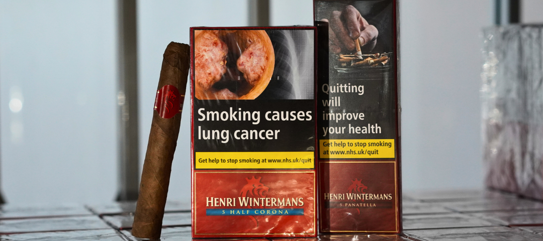 Henri Wintermans Cigars for Everyday Smokers