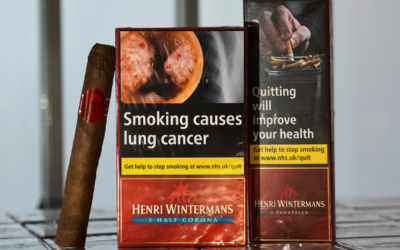 Henri Wintermans Cigars for Everyday Smokers